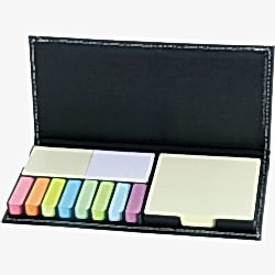 PT-030 Yapışkanlı Notluklar